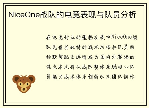 NiceOne战队的电竞表现与队员分析